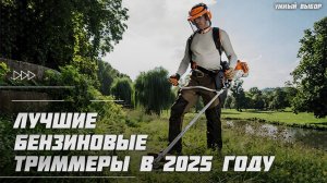 Лучшие бензиновые триммеры для травы в 2025 году | Какой бензиновый триммер купить?