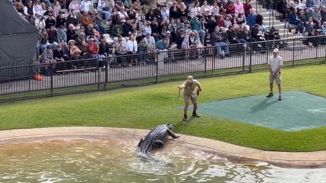 What The Australia Zoo is REALLY LIKE! | Ep. 67 смотреть онлайн