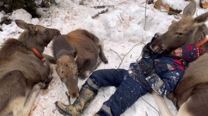 В этом видео я вам расскажу о своих подопечных и какие они по характеру.