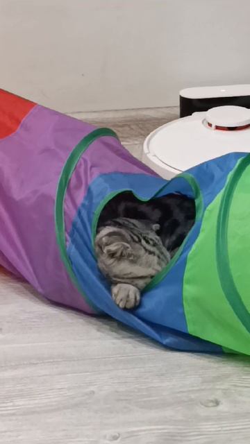 Кемарит в туннеле