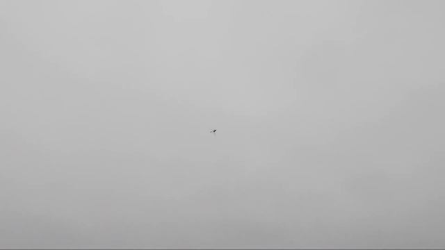 Blade 480 Fusion Crash смотреть онлайн
