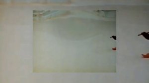 Pingu Intro With Effects 4