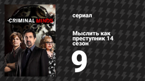 Мыслить как преступник 14 сезон 9 серия «Сломанное крыло» (сериал, 2005-2020)