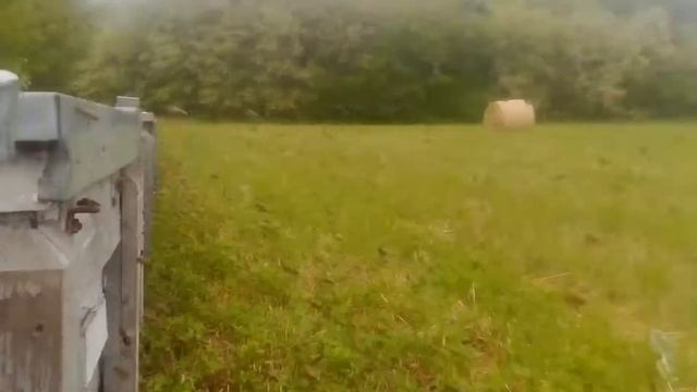 Mátrai Méhészkedés 🐝🐝🐝🐝🐝🐝