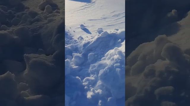 18 января 2022 г. смотреть онлайн
