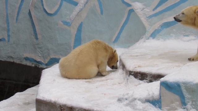 Этот снег такой вкусный 27 10 16 смотреть онлайн