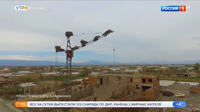 Про аистов смотреть онлайн