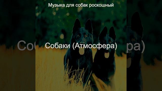 Звуки (Собаки)