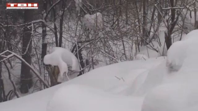 Поисковые мероприятия смотреть онлайн