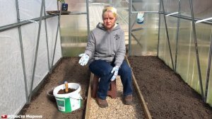 Подготовка теплицы к высадке рассады томатов. Что добавляю в лунки.