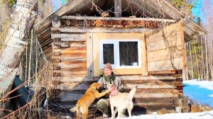 ЗАБРОСКА ФАНЕРЫ В ИЗБУ НА СНЕГОХОДЕ СМ-002 / ВЗЯЛ С СОБОЙ СОБАК ПРОГУЛЯТЬСЯ / БЫТ В ТАЙГЕ ВЕСНОЙ.