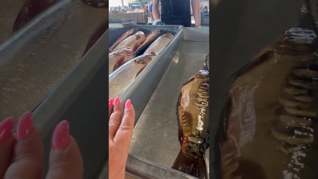 Живая и свежая Рыбка на нашем ПРИВОЗЕ.. смотреть онлайн