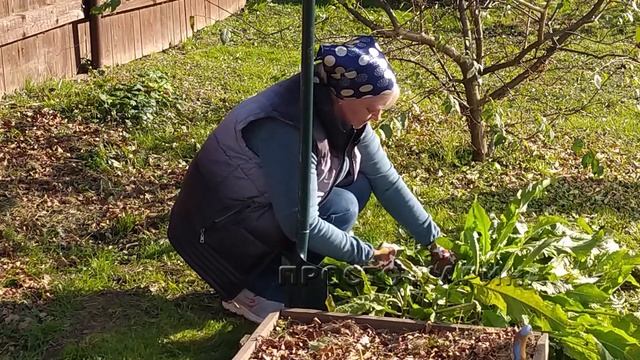 Просто Марина