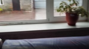 В деревне дождь