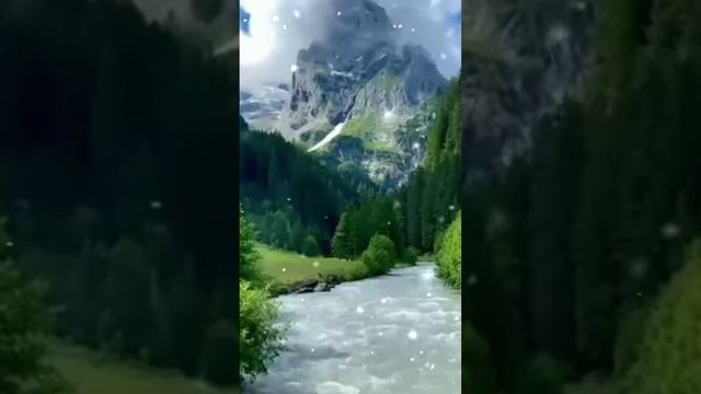 РАК клеткаларын жоятын АЯТ "дұға" Алланың қалауымен шипа болады"Әумин"🤲 смотреть онлайн