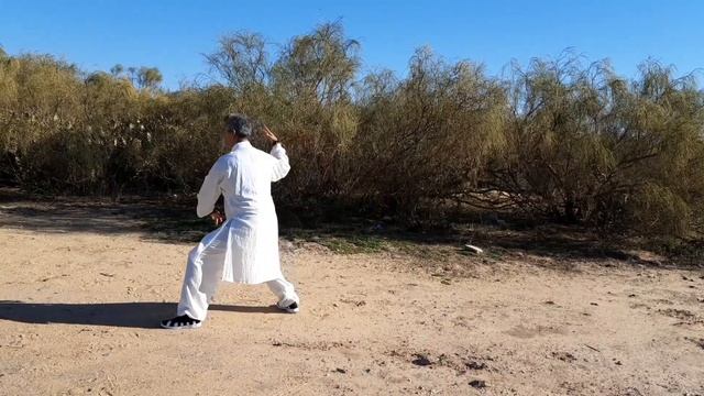 Wudang Taiji 13 Shi San Shi смотреть онлайн
