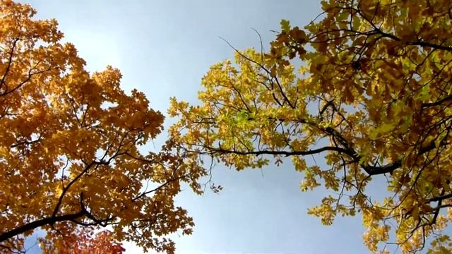О С Е Н Ь смотреть онлайн