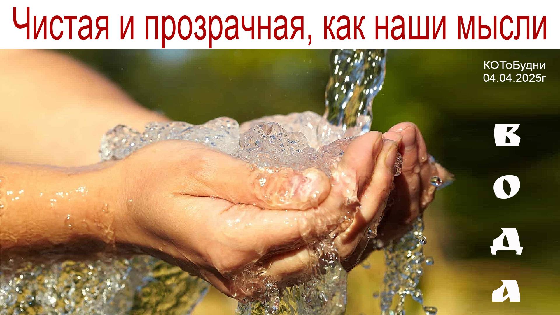 Вода – это источник жизни, и она должна быть чистой и прозрачной, как наши мысли или КОТоБудни смотреть онлайн