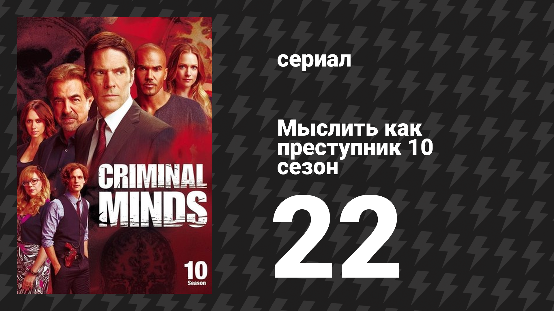 Мыслить как преступник 10 сезон 22 серия «Защита» (сериал, 2005-2020)
