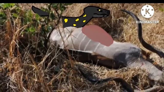 un euchambersia en la actualidad para el concurso de Jixiangornis Orientalis 🧐🚬 смотреть онлайн