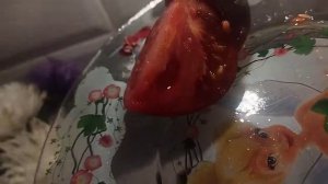 Томат Жаркие угли. Дегустация