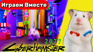 Лабиринт для Хомяка ! Умный Хомяк попал в игру КИБЕР ПАНК 2077 ‼️КИБЕР ЛАБИРИНТ С ЛОВУШКАМИ !
