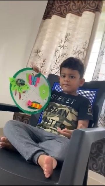 Life Cycle of Butterfly (Metamorphosis) смотреть онлайн