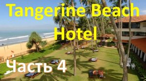 Обзор отеля TANGERINE BEACH 4* (Шри Ланка) - Часть 4. Еда и рестораны