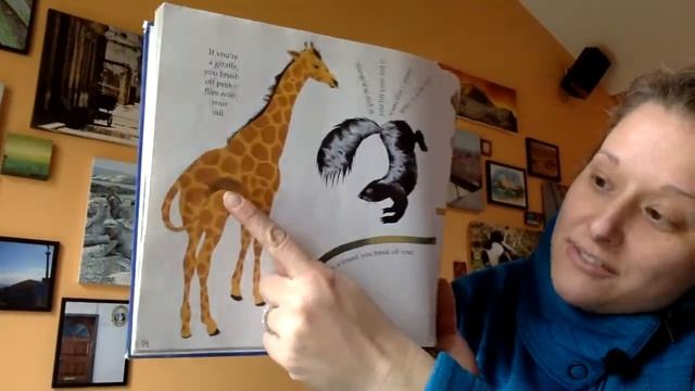 Lesson #1: What Do You Do With a Tail Like This? 1/3 смотреть онлайн