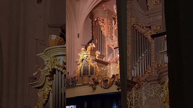 Органная музыка в Кафедральном соборе