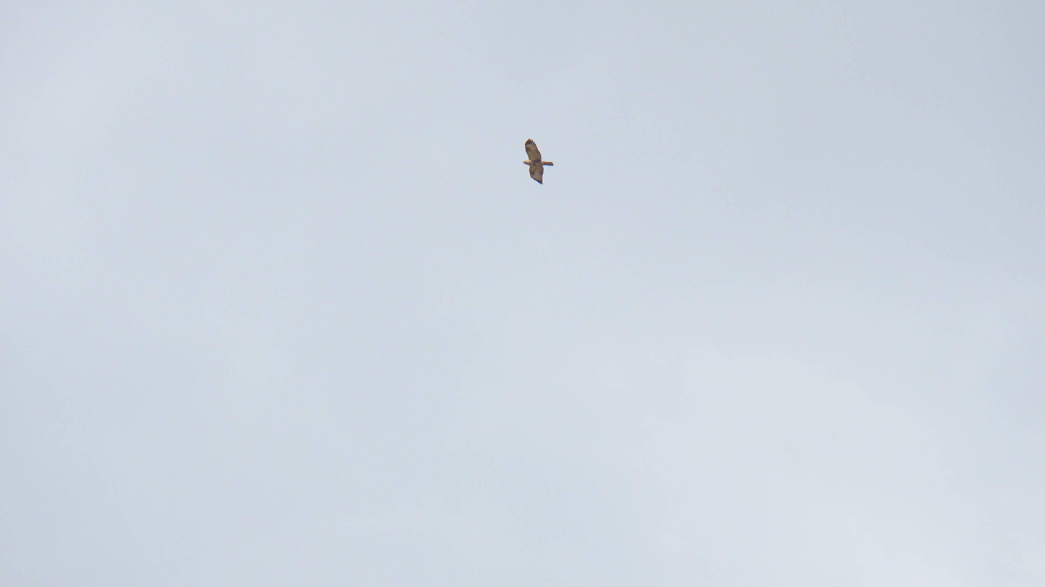 Орлята учатся летать2. Будущий КМС