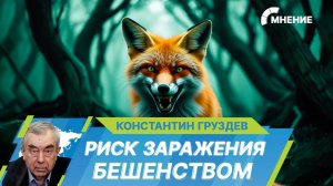 Заражение бешенством. Как не стать жертвой смертельного вируса?