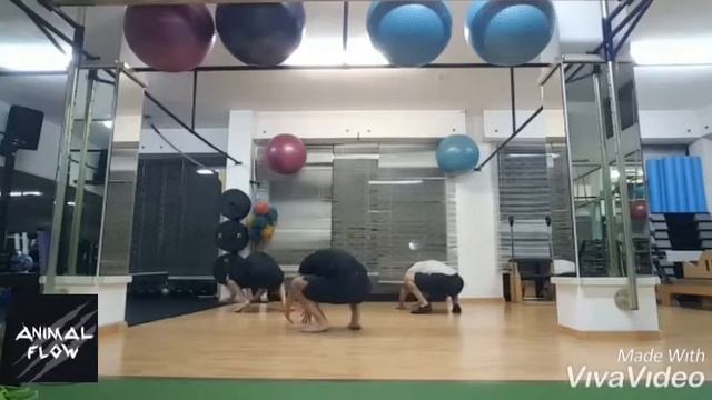 Animal Flow Class Pt.50 смотреть онлайн