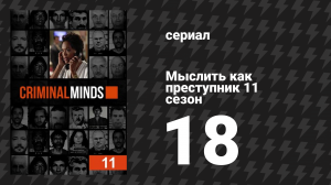 Мыслить как преступник 11 сезон 18 серия «Прекрасное несчастье» (сериал, 2005-2020)