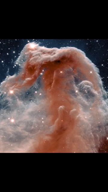 1500 Light Year Horsehead Nebula By James Web