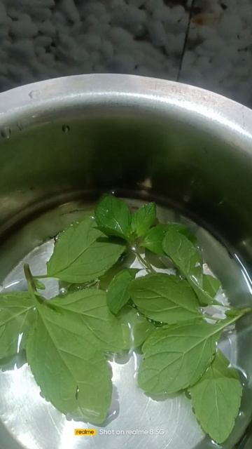 കാലത്തെ ഒരു പുതിന ചായ കുടിച്ചു ഫുൾ ചാർജ് ആകാം #mint tea#mint leaf, teapowder, sugar смотреть онлайн