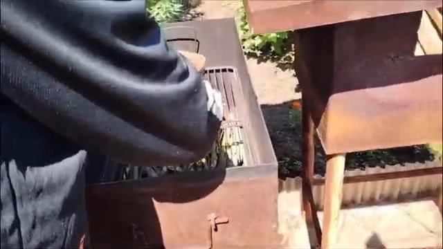 Коптим рыбу без щепы вкусно просто.