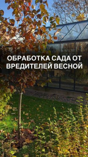 Обработка сада от вредителей весной #защитасада #агроном #агрономия #огородник #яблоня