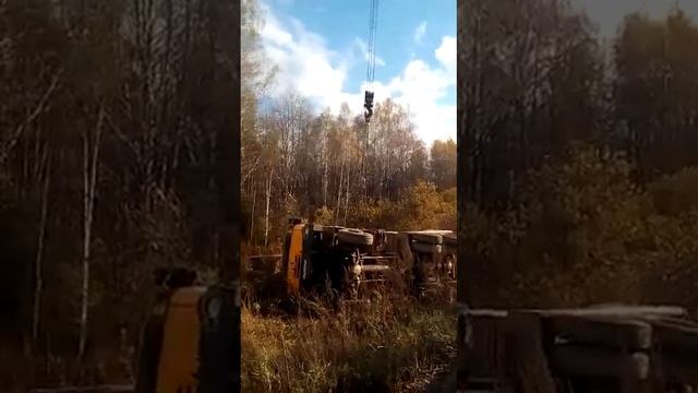 Тарас в работе! смотреть онлайн