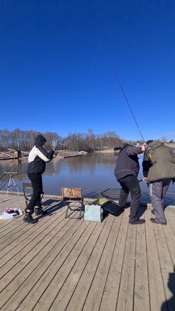 Поимки форели смотреть онлайн