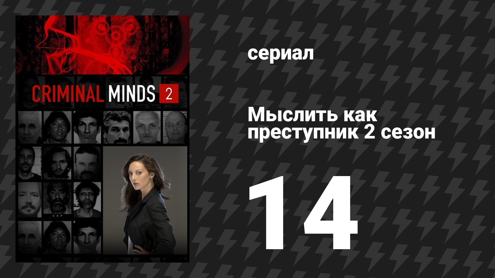 Мыслить как преступник 2 сезон 14 серия «Большая игра» (сериал, 2005-2020)