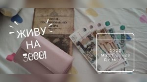 ЖИВУ НА 3000 С ДВУМЯ ДЕТЬМИ день 6-7