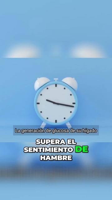 Cómo entrenar a tu hígado para perder peso La gluconeogénesis y la ventana de comer de 6 horas смотреть онлайн
