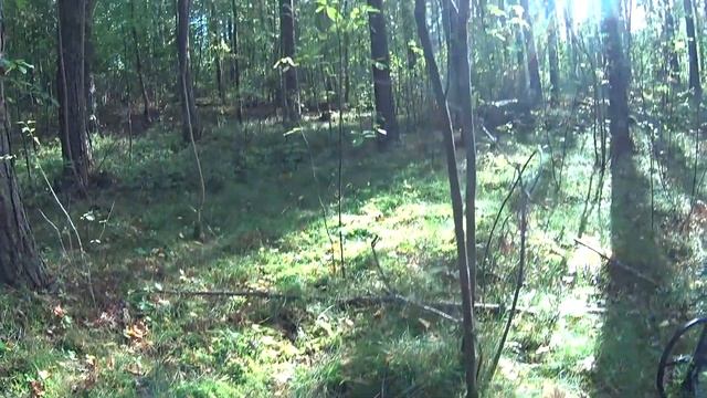 Разведка новых мест.Осенний коп.Xp deus смотреть онлайн