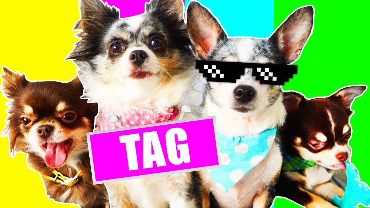 ПЕРВОЕ ВИДЕО СОФИ 🎥 РЕАКЦИЯ СЕМЬИ И ПЕРВАЯ РОЛЬ ЭЙВАНА! смотреть онлайн