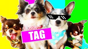 ПЕРВОЕ ВИДЕО СОФИ 🎥 РЕАКЦИЯ СЕМЬИ И ПЕРВАЯ РОЛЬ ЭЙВАНА!