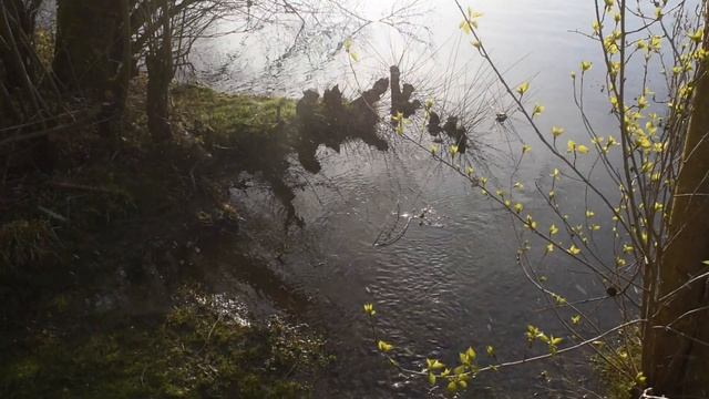 Two Days in Spring смотреть онлайн