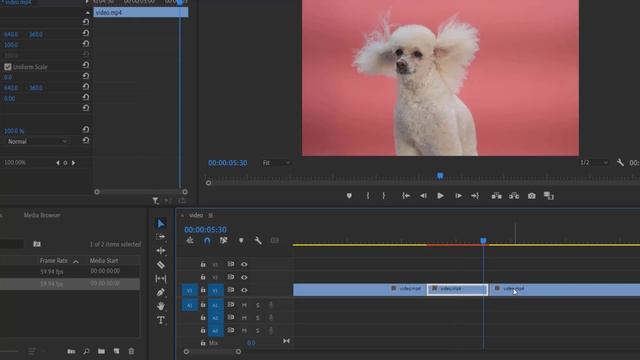 Pause Effect Tutorial - Adobe premiere pro