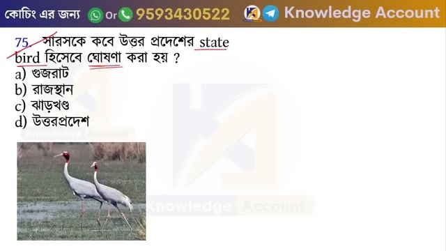 July 2024 important current affairs in bengali | কারেন্ট অ্যাফেয়ার্স প্রশ্ন \ Knowledge Account смотреть онлайн
