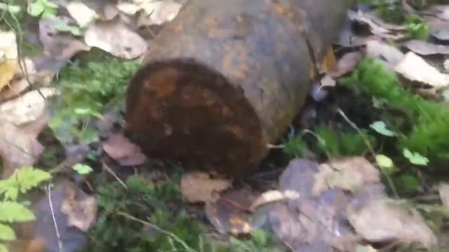 Снаряд возле Питера смотреть онлайн